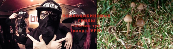 мяу мяу мука Верхний Тагил