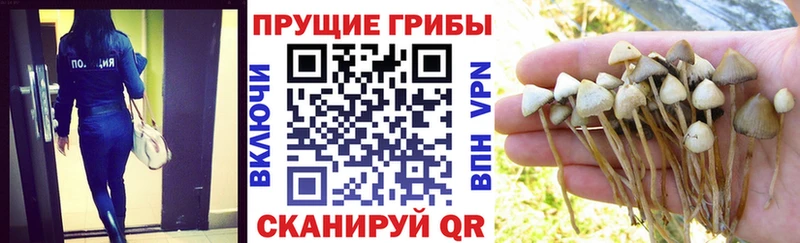 Галлюциногенные грибы Magic Shrooms  купить закладку  Уфа 
